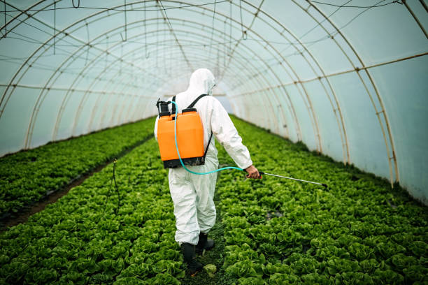 Best Pest Prevention Services  in Belville, NC