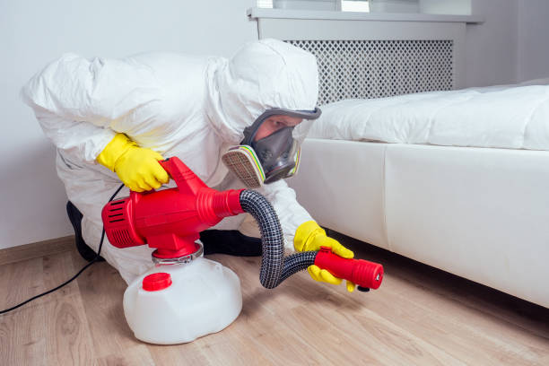 Best Pest Control Treatment  in Belville, NC